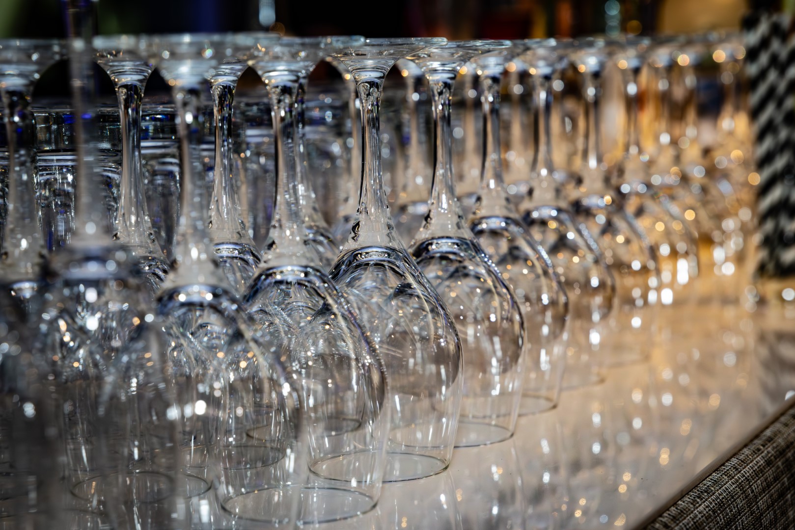 SBH Gala 2024-14.jpg